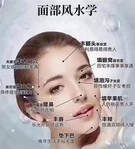 女人 木偶 紋 面相|【女人 木偶 紋 面相】女人嘴角木偶紋面相解析，一次看懂！